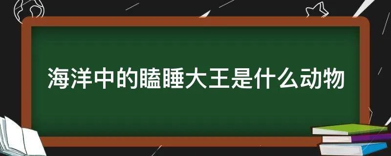 海洋中的瞌睡大王是什么动物