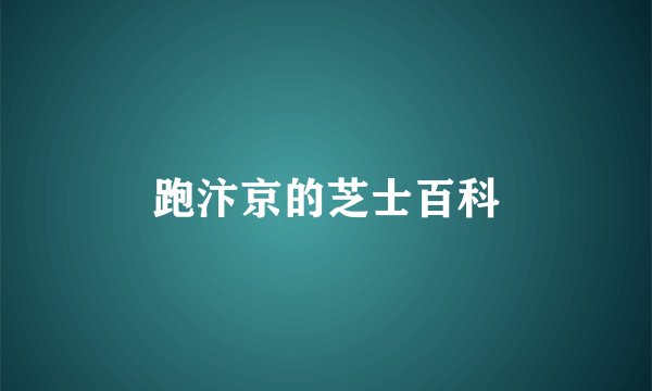 跑汴京的芝士百科