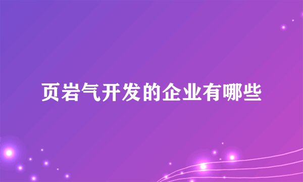 页岩气开发的企业有哪些