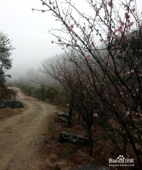 福州鼓岭景点游玩攻略