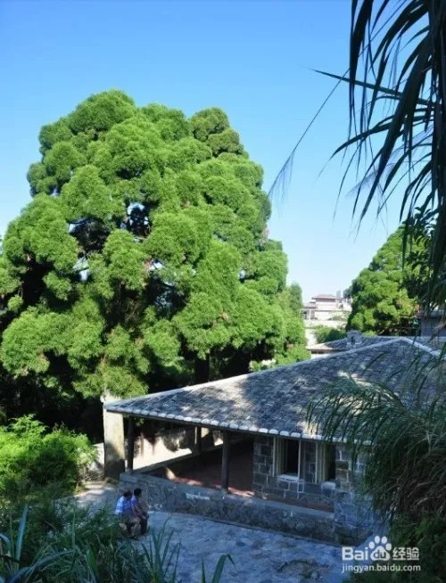 福州鼓岭景点游玩攻略