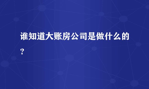 谁知道大账房公司是做什么的？