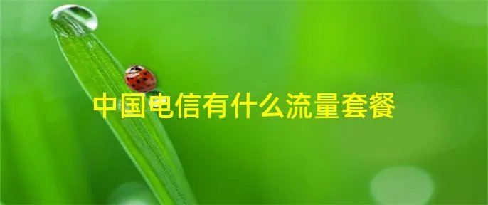 中国电信有什么流量套餐