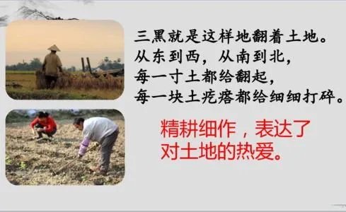 课文:三黑和土地课堂笔记