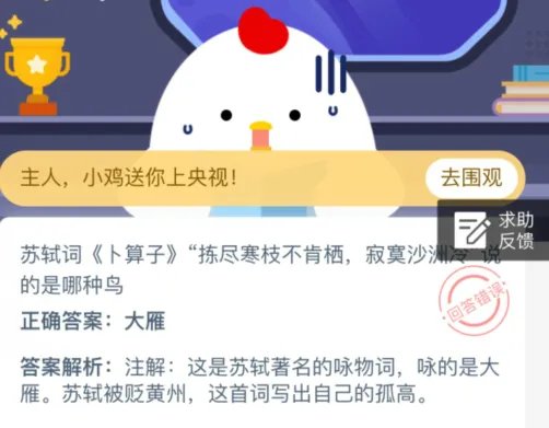 苏轼词卜算子拣尽寒枝不肯栖,寂寞沙洲冷说的是哪种鸟