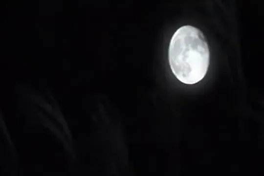 葫芦丝十大名曲有哪些