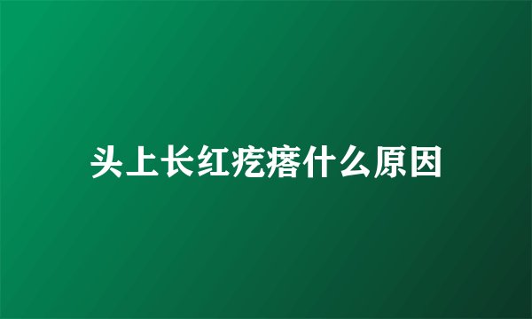 头上长红疙瘩什么原因