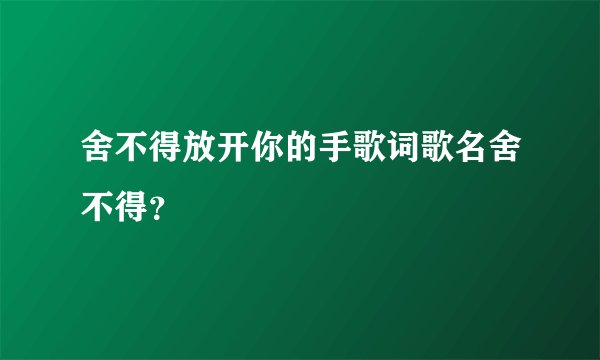 舍不得放开你的手歌词歌名舍不得？