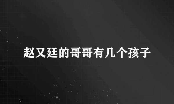 赵又廷的哥哥有几个孩子