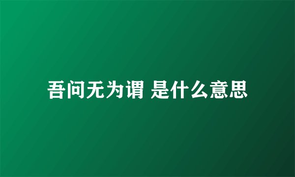 吾问无为谓 是什么意思