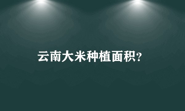 云南大米种植面积？