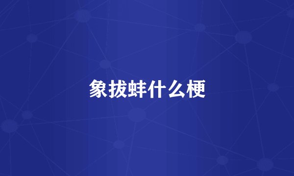 象拔蚌什么梗