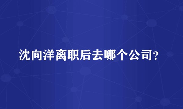 沈向洋离职后去哪个公司？