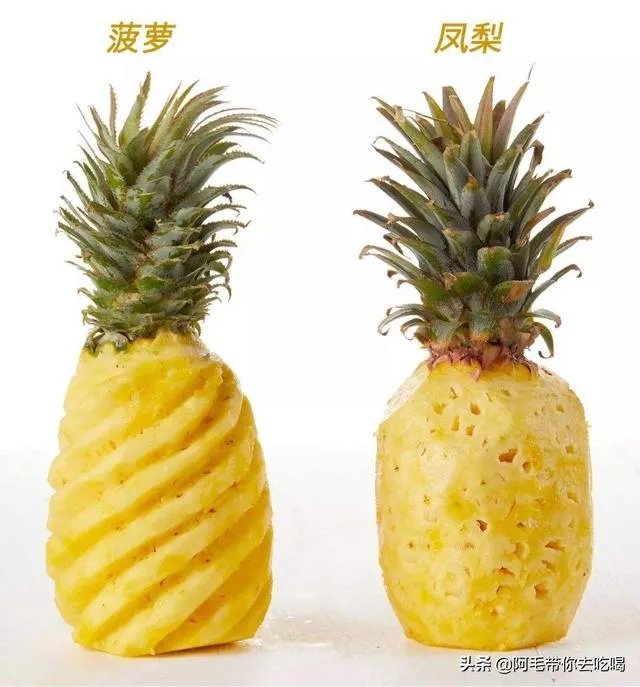 菠萝蜜凤梨菠萝麻