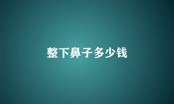 整下鼻子多少钱