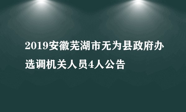 2019安徽芜湖市无为县政府办选调机关人员4人公告