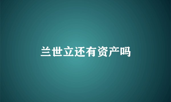 兰世立还有资产吗