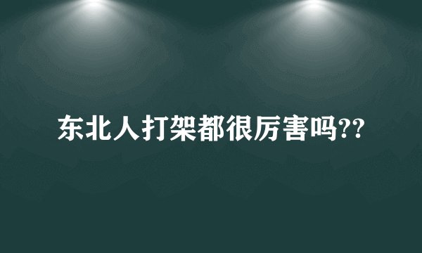 东北人打架都很厉害吗??