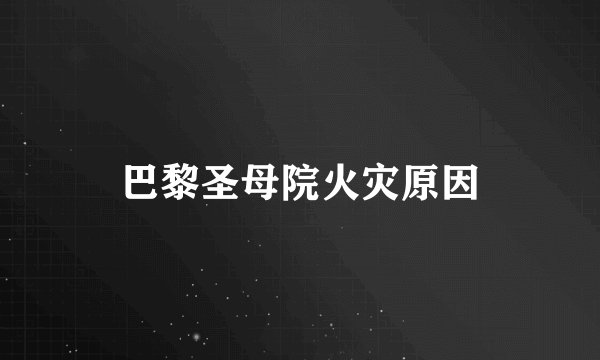 巴黎圣母院火灾原因