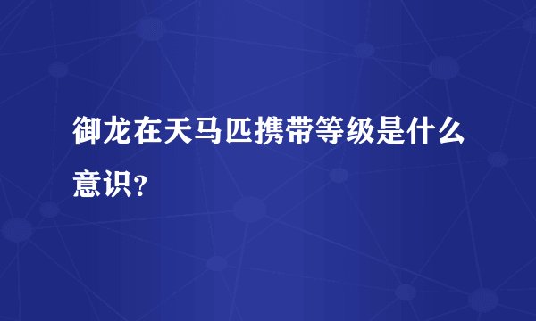 御龙在天马匹携带等级是什么意识？