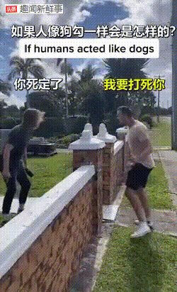 顶级车模报价多少？网红届魑魅魍魉的动态图