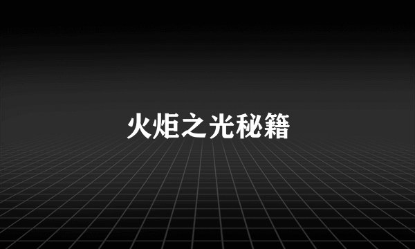 火炬之光秘籍