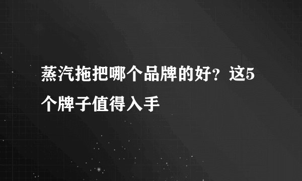 蒸汽拖把哪个品牌的好？这5个牌子值得入手