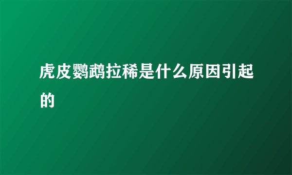 虎皮鹦鹉拉稀是什么原因引起的