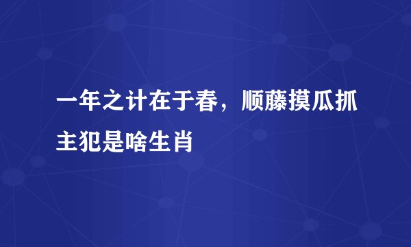 一年之计在于春，顺藤摸瓜抓主犯是啥生肖