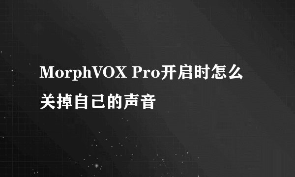 MorphVOX Pro开启时怎么关掉自己的声音