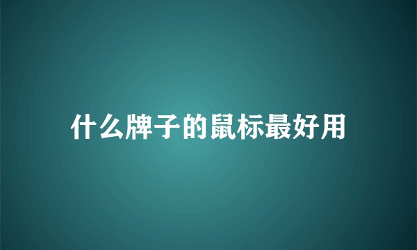 什么牌子的鼠标最好用
