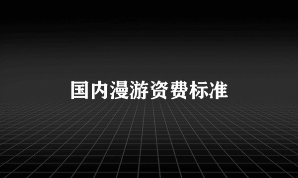 国内漫游资费标准