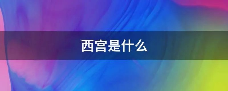 西宫是什么