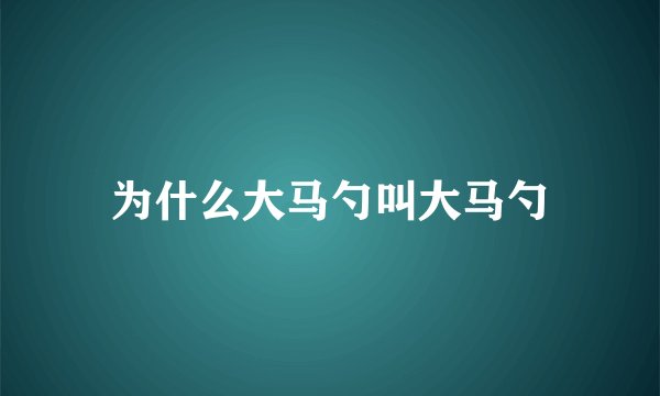 为什么大马勺叫大马勺
