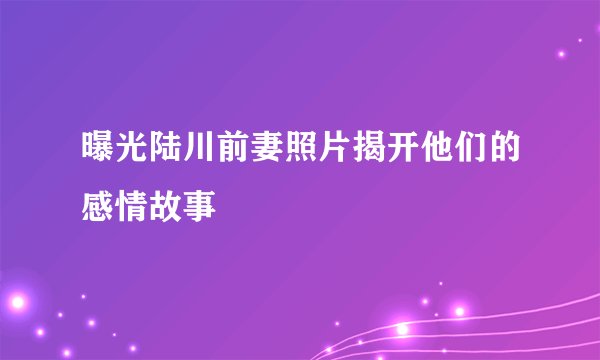 曝光陆川前妻照片揭开他们的感情故事