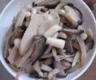 小炒蘑菇