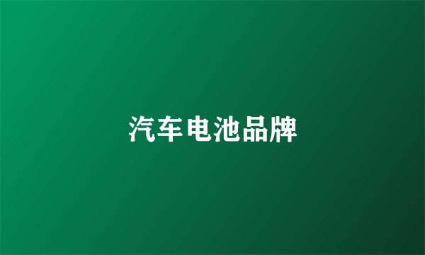 汽车电池品牌