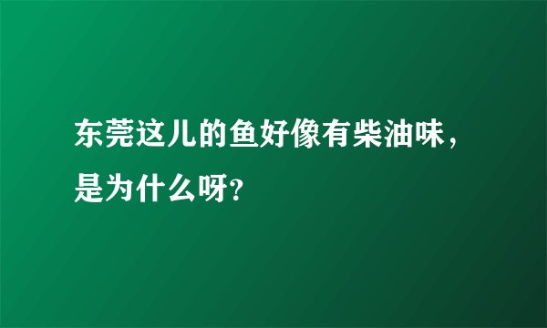 东莞这儿的鱼好像有柴油味，是为什么呀？
