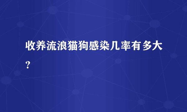 收养流浪猫狗感染几率有多大？