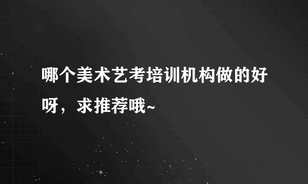 哪个美术艺考培训机构做的好呀，求推荐哦~