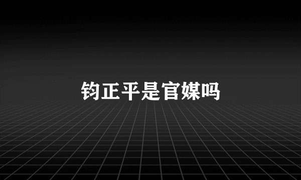 钧正平是官媒吗