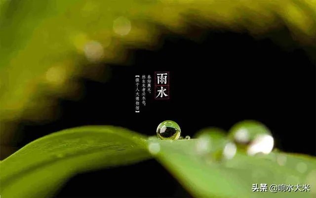 雨水落雨三大碗 大河小河都要满 说的是哪个季节