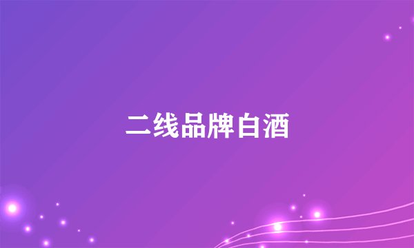 二线品牌白酒