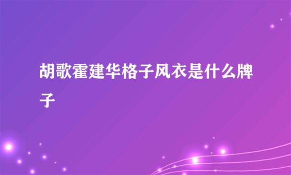 胡歌霍建华格子风衣是什么牌子