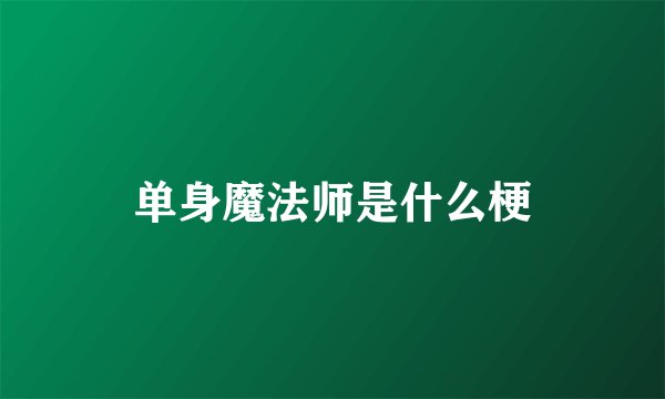 单身魔法师是什么梗