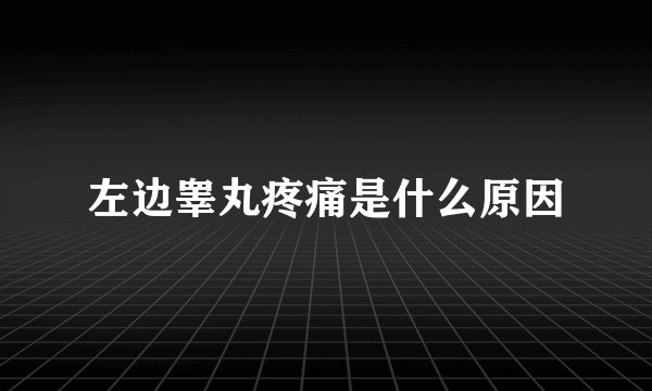 左边睾丸疼痛是什么原因