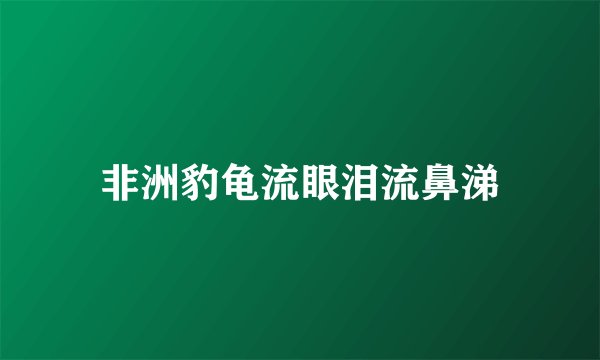 非洲豹龟流眼泪流鼻涕