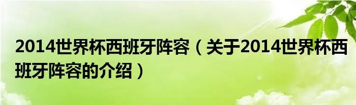 2014世界杯西班牙阵容（关于2014世界杯西班牙阵容的介绍）