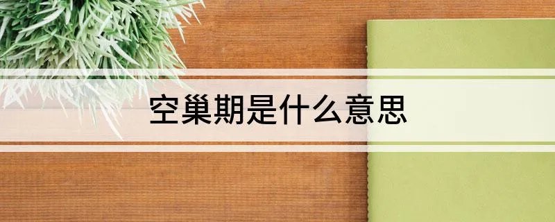 空巢期是什么意思