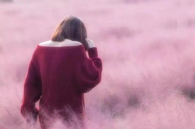 好听的校园风歌曲？